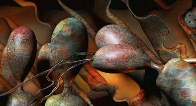 Image #3 of 9: 